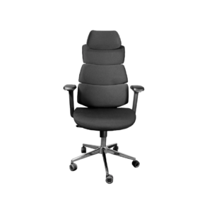 Ergo Express A22